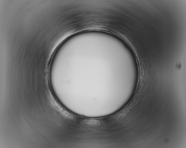 X0000108481235200904241252