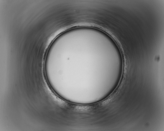 X0000108481237200904241252