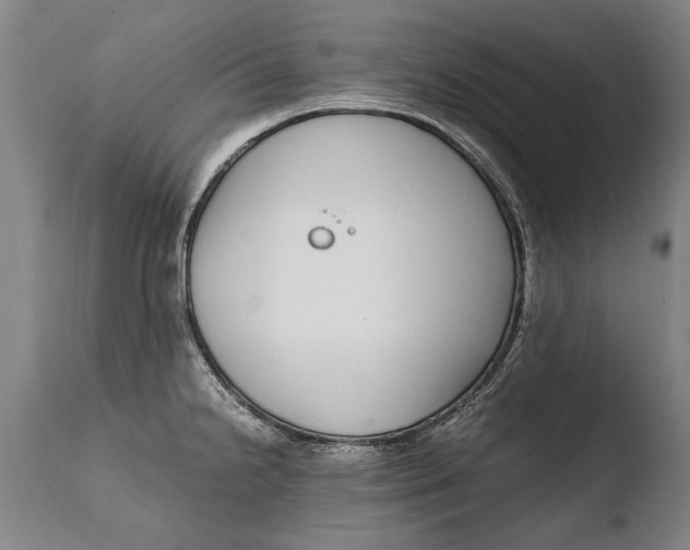 X0000108481238200904241252