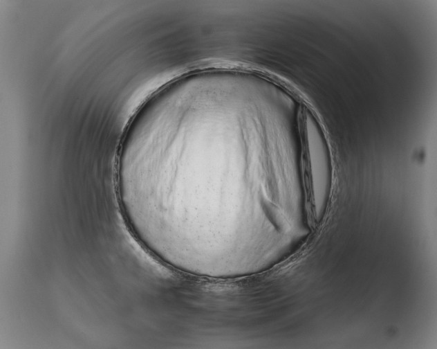 X0000108481239200904241252