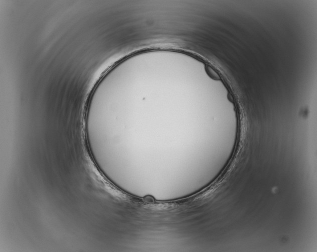 X0000108481240200904241252