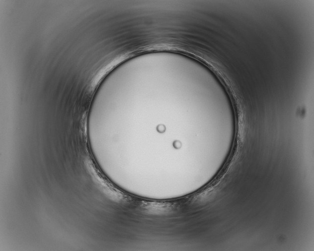 X0000108481241200904241252