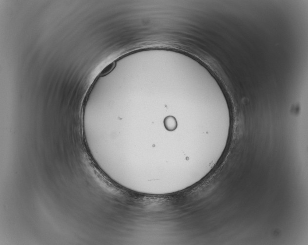 X0000108481242200904241252
