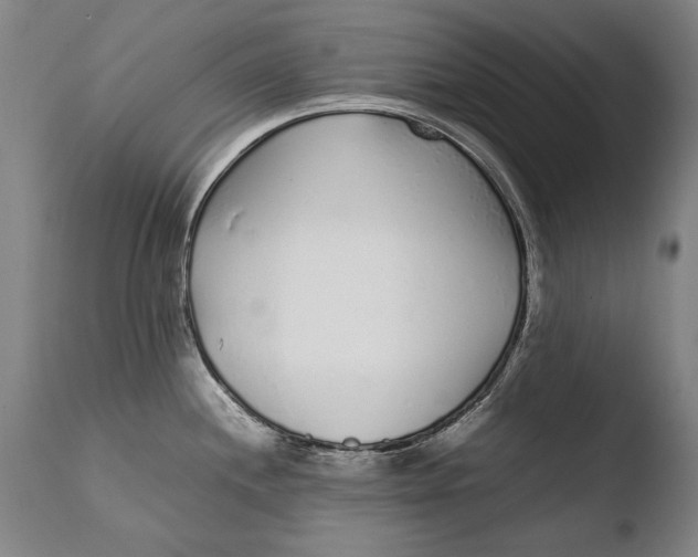 X0000108481244200904241252