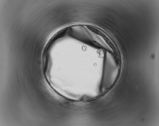 X0000108481246200904241252