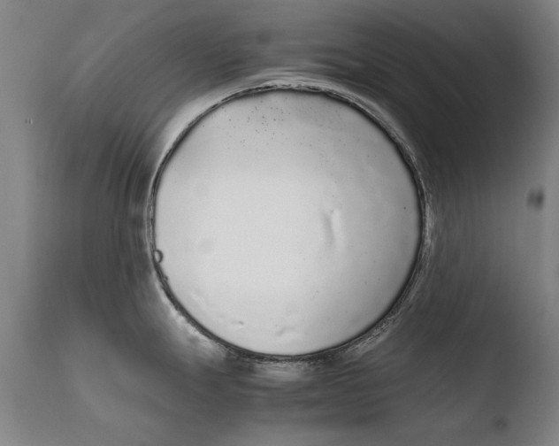 X0000108481247200904241252