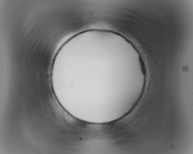 X0000108481248200904241252