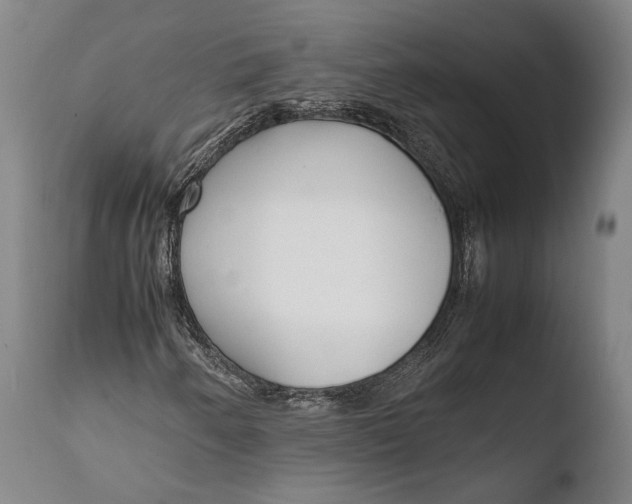 X0000108481250200904241251