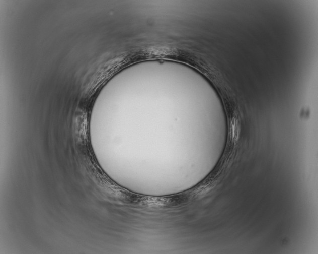X0000108481251200904241251