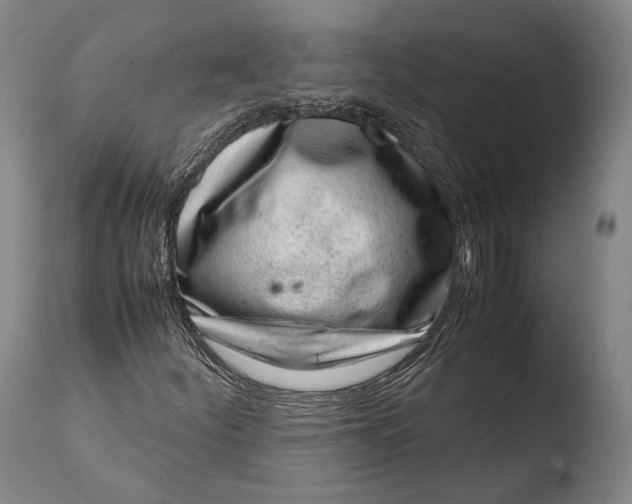 X0000108481252200904241251