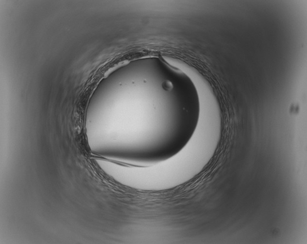 X0000108481253200904241251