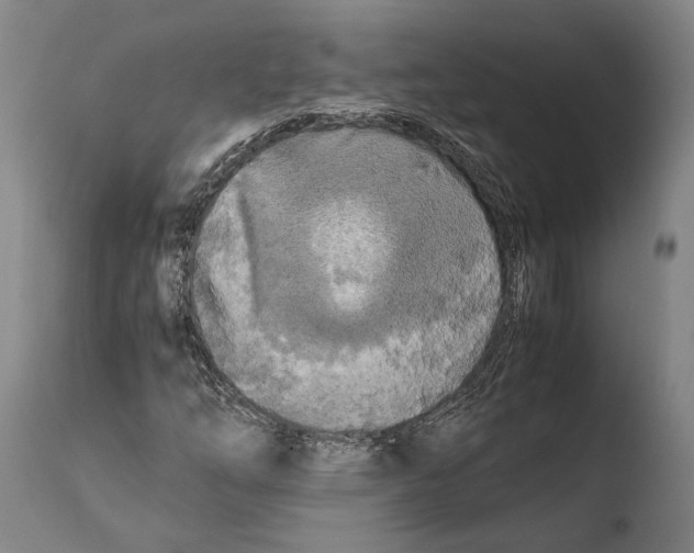 X0000108481254200904241251