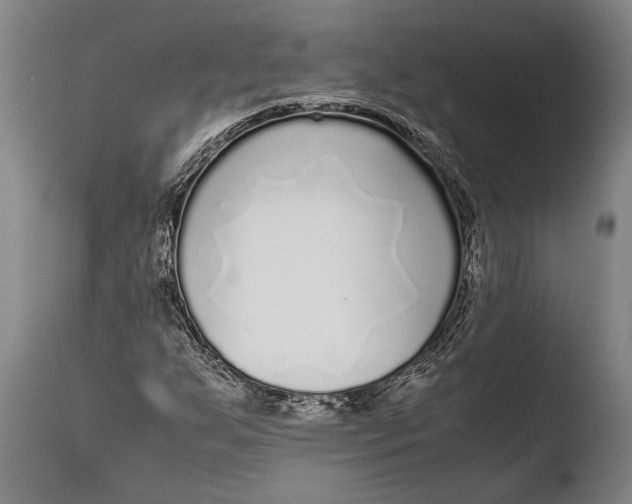 X0000108481255200904241251