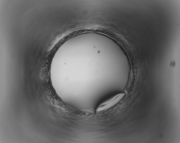 X0000108481256200904241251