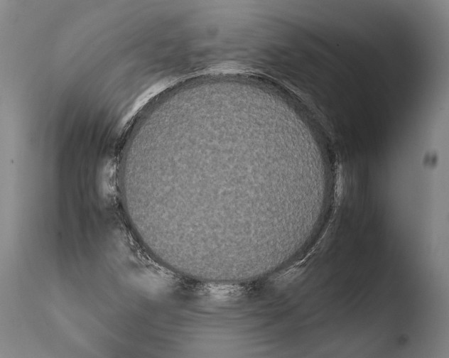 X0000108481258200904241251