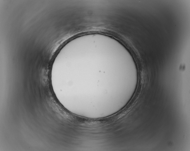 X0000108481260200904241251