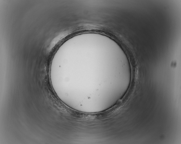 X0000108481261200904241251