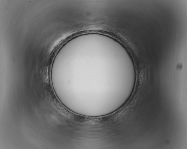 X0000108481262200904241251