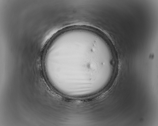 X0000108481263200904241251