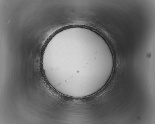 X0000108481264200904241251