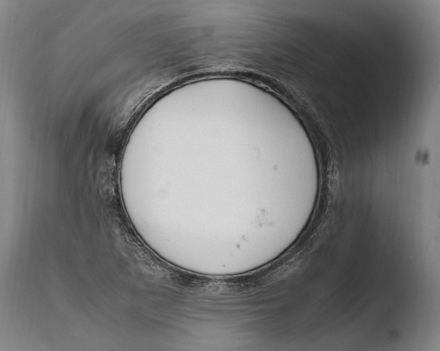 X0000108481265200904241251