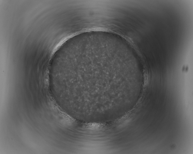 X0000108481266200904241251