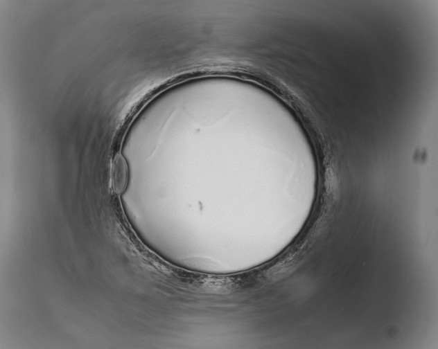 X0000108481267200904241251