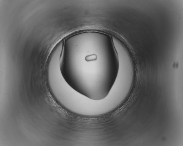 X0000108481268200904241251