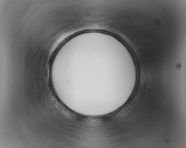 X0000108481270200904241251