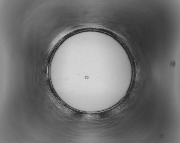X0000108481271200904241251