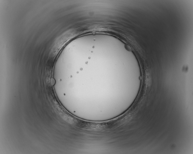 X0000108481273200904241251