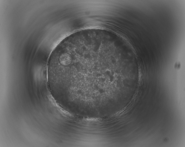 X0000108481274200904241251