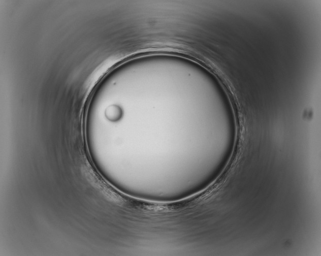 X0000108481275200904241251
