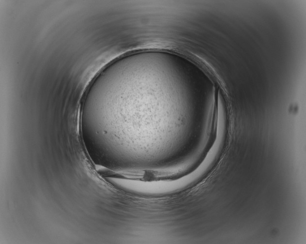 X0000108481276200904241251