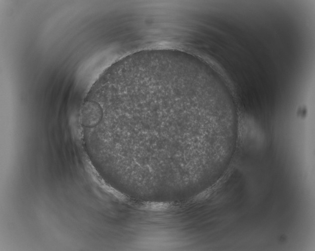X0000108481278200904241251