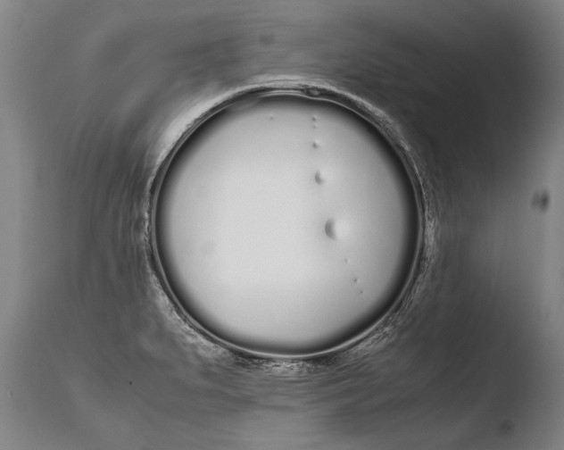 X0000108481279200904241251