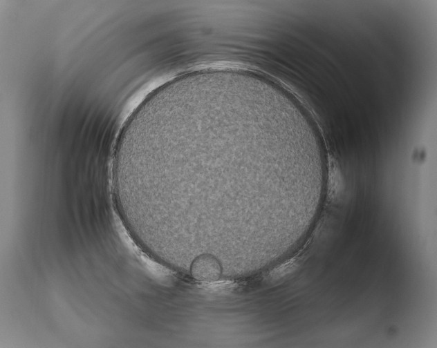 X0000108481282200904241251
