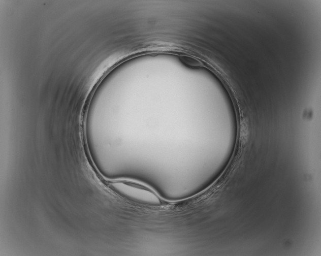 X0000108481283200904241251