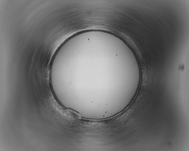 X0000108481284200904241251