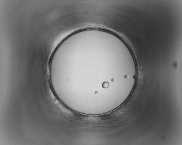 X0000108481287200904241251
