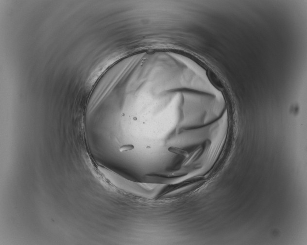 X0000108481289200904241251