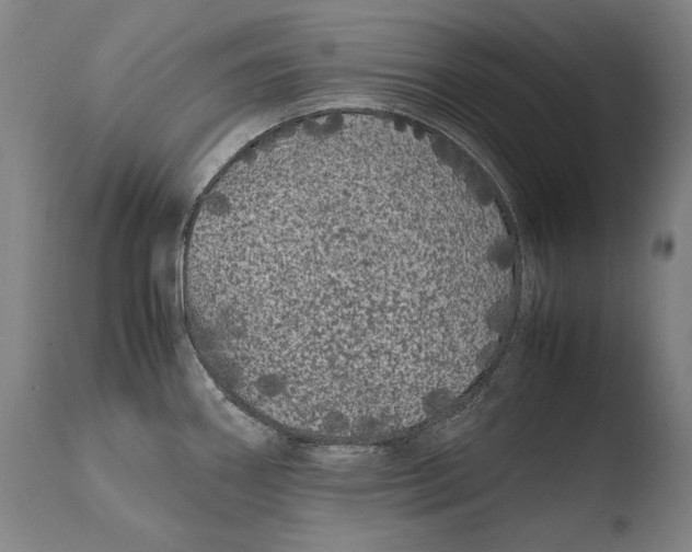 X0000108481290200904241251