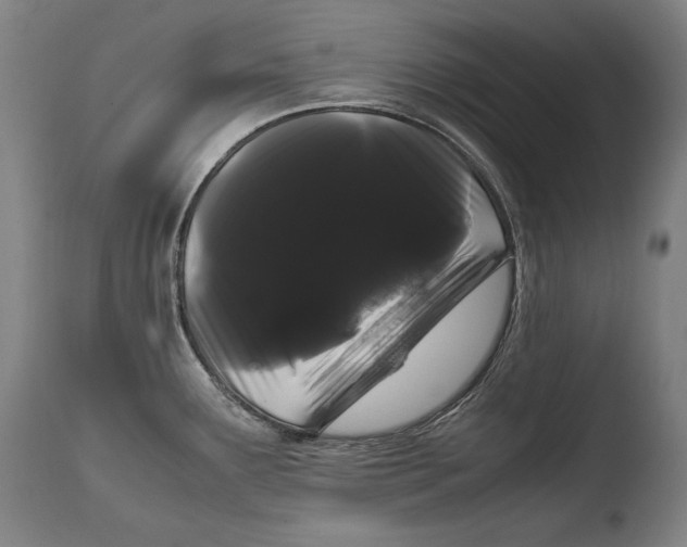 X0000108481291200904241251