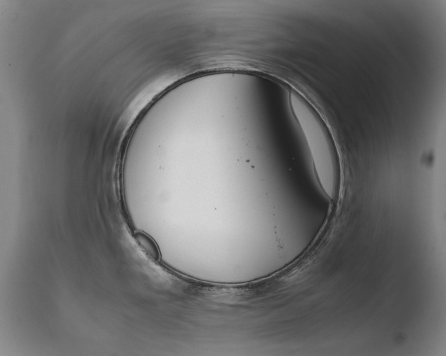 X0000108481293200904241251