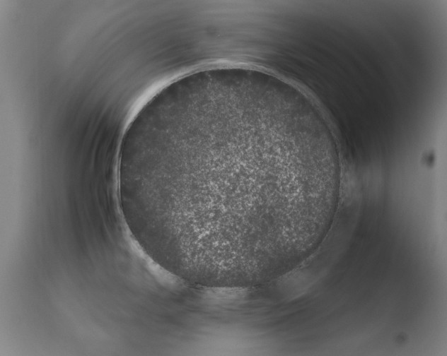 X0000108481294200904241251