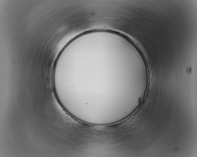 X0000108481295200904241251