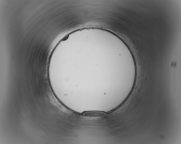 X0000108481296200904241251