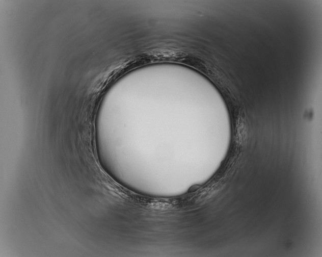 X0000108481297200904241250