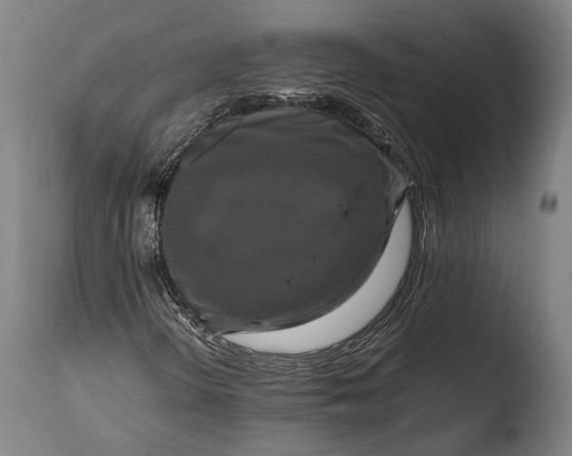 X0000108481298200904241250