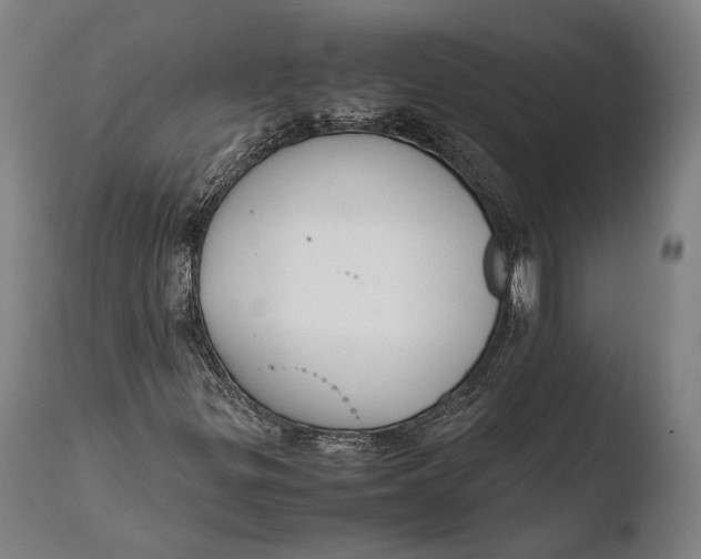 X0000108481299200904241250
